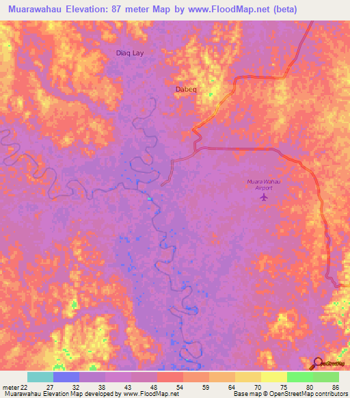 Muarawahau,Indonesia Elevation Map