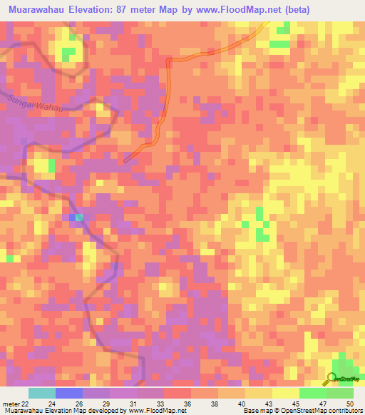 Muarawahau,Indonesia Elevation Map