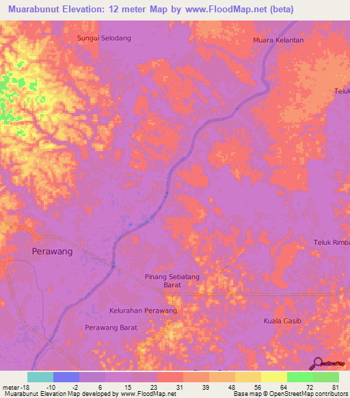 Muarabunut,Indonesia Elevation Map