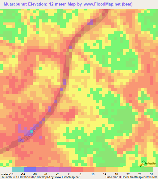 Muarabunut,Indonesia Elevation Map