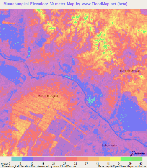 Muarabungkal,Indonesia Elevation Map