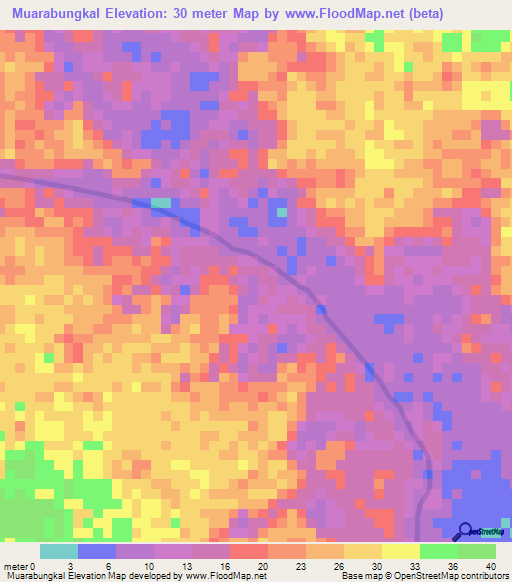 Muarabungkal,Indonesia Elevation Map