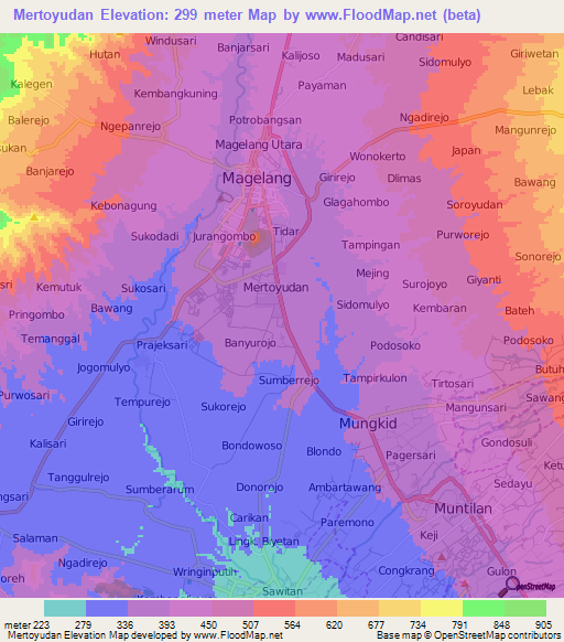 Mertoyudan,Indonesia Elevation Map