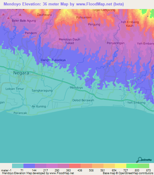 Mendoyo,Indonesia Elevation Map