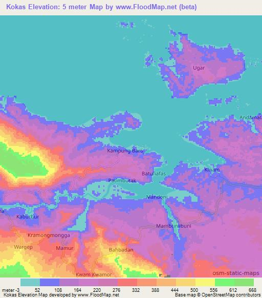 Kokas,Indonesia Elevation Map