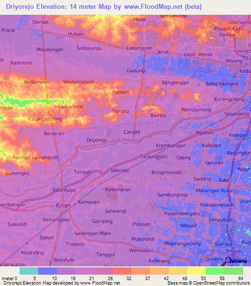 Driyorejo,Indonesia Elevation Map