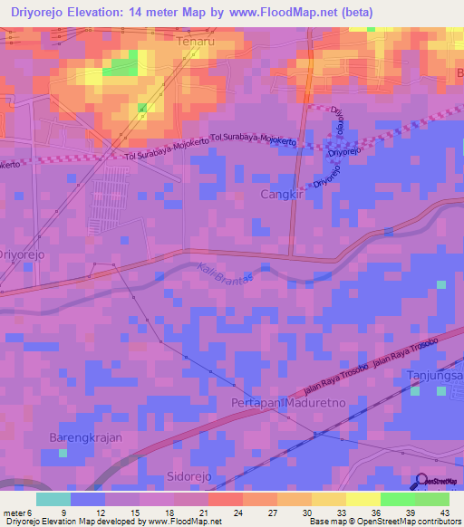 Driyorejo,Indonesia Elevation Map