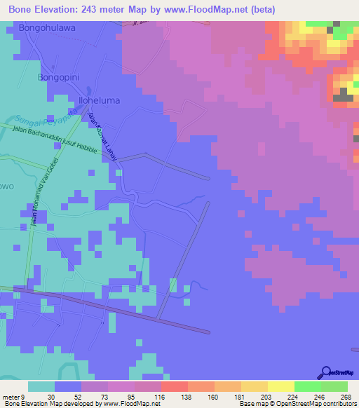 Bone,Indonesia Elevation Map