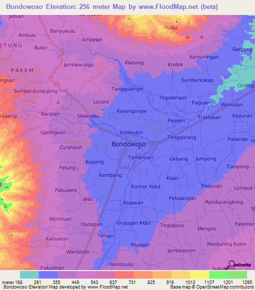 Bondowoso,Indonesia Elevation Map