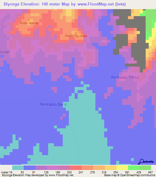 Biyonga,Indonesia Elevation Map