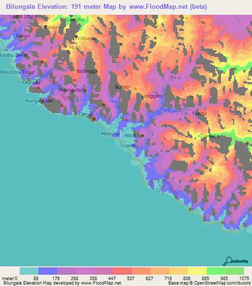 Bilungala,Indonesia Elevation Map