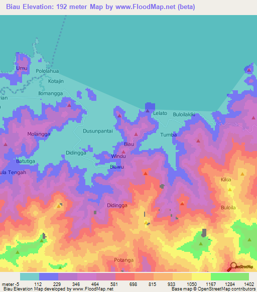 Biau,Indonesia Elevation Map