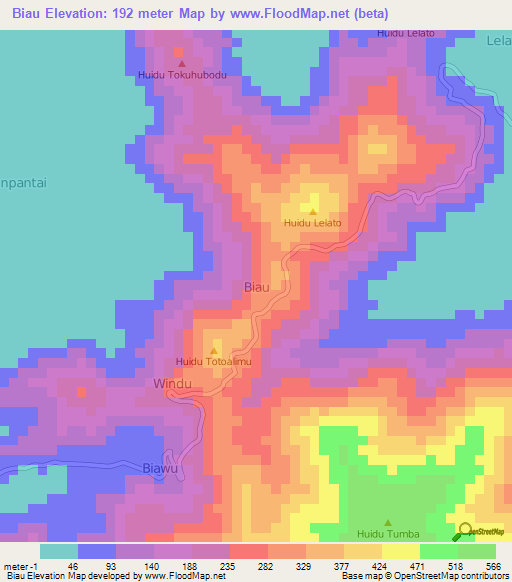 Biau,Indonesia Elevation Map