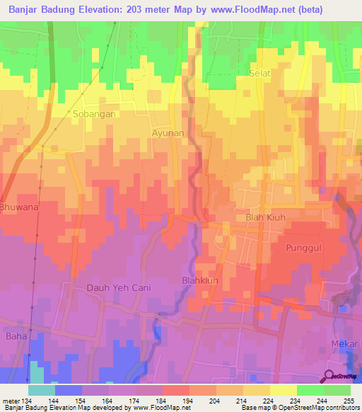 Banjar Badung,Indonesia Elevation Map