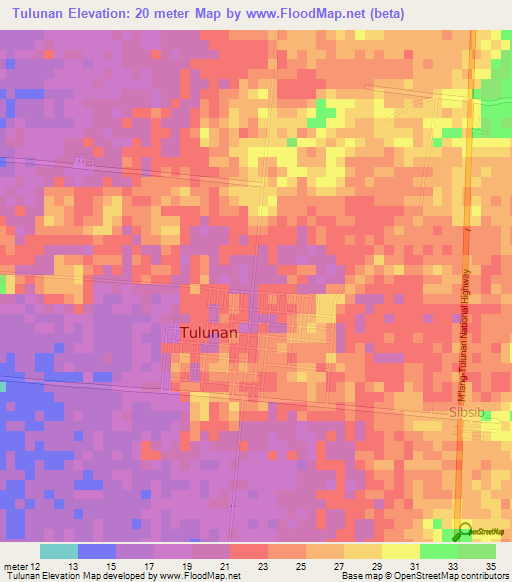 Tulunan,Philippines Elevation Map