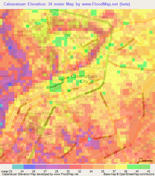 Cabanatuan,Philippines Elevation Map