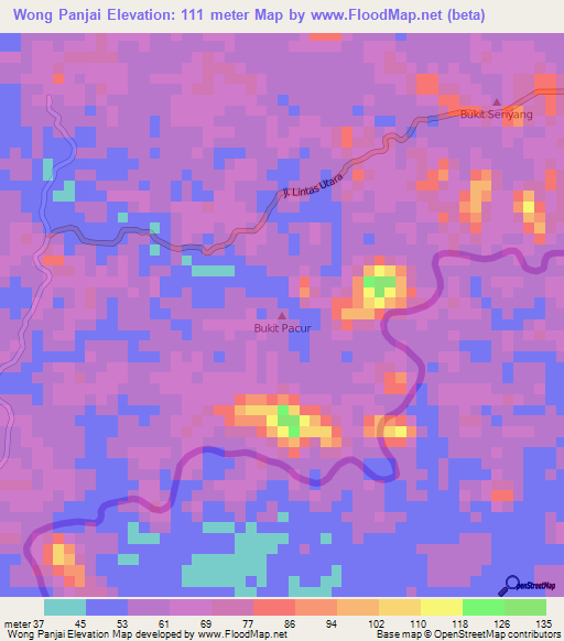 Wong Panjai,Malaysia Elevation Map