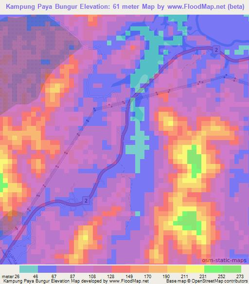 Kampung Paya Bungur,Malaysia Elevation Map