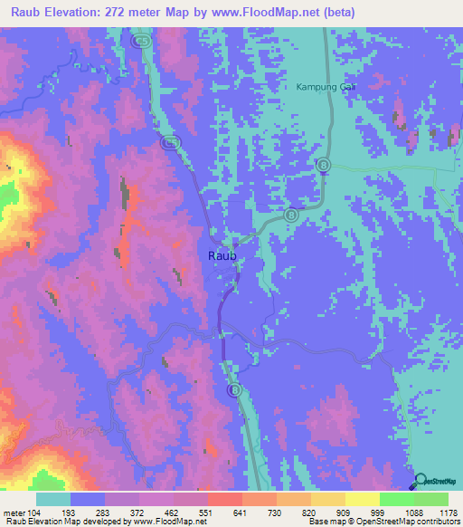 Raub,Malaysia Elevation Map