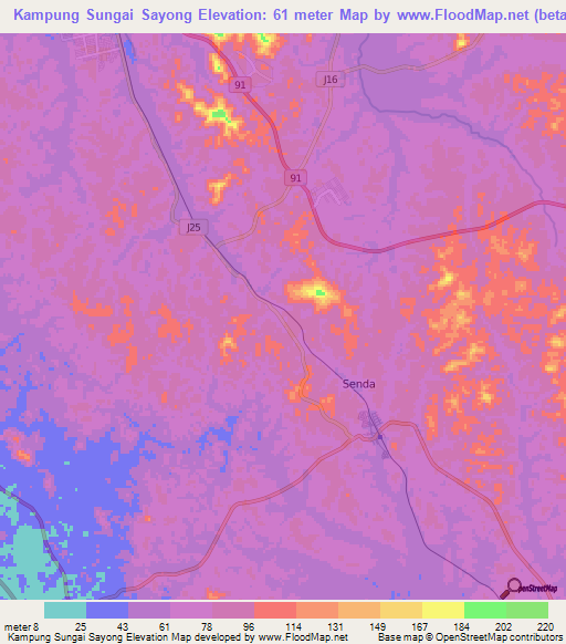 Kampung Sungai Sayong,Malaysia Elevation Map