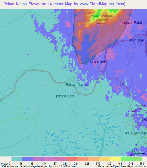 Pekan Nenas,Malaysia Elevation Map