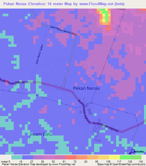 Pekan Nenas,Malaysia Elevation Map