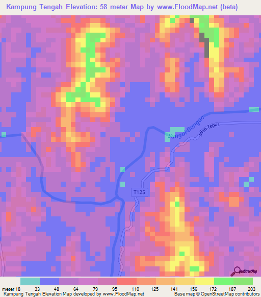 Kampung Tengah,Malaysia Elevation Map