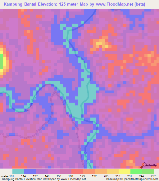 Kampung Bantal,Malaysia Elevation Map