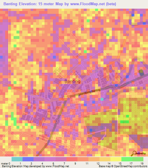 Banting,Malaysia Elevation Map