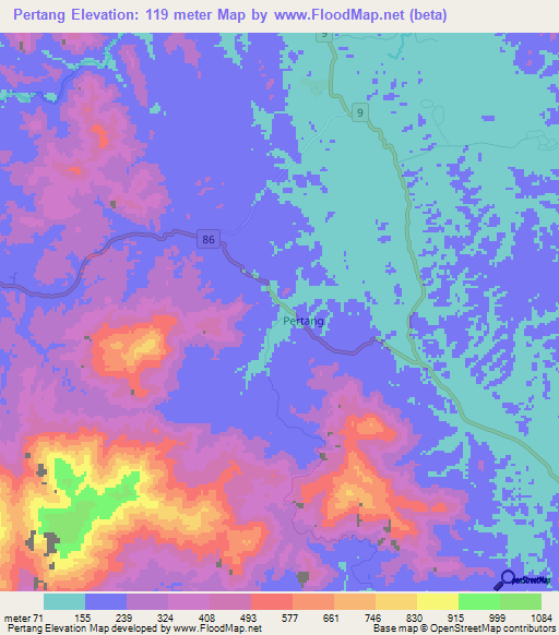 Pertang,Malaysia Elevation Map