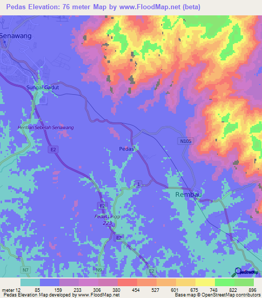 Pedas,Malaysia Elevation Map