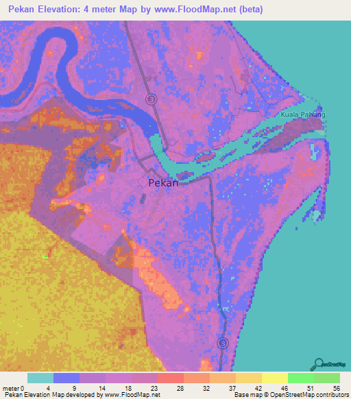 Pekan,Malaysia Elevation Map