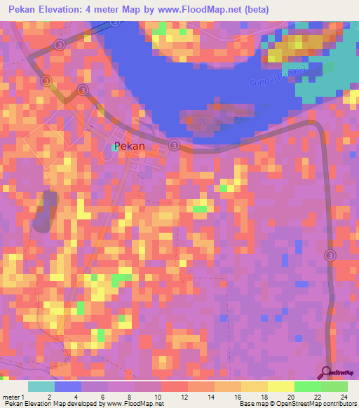 Pekan,Malaysia Elevation Map