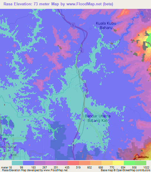 Rasa,Malaysia Elevation Map