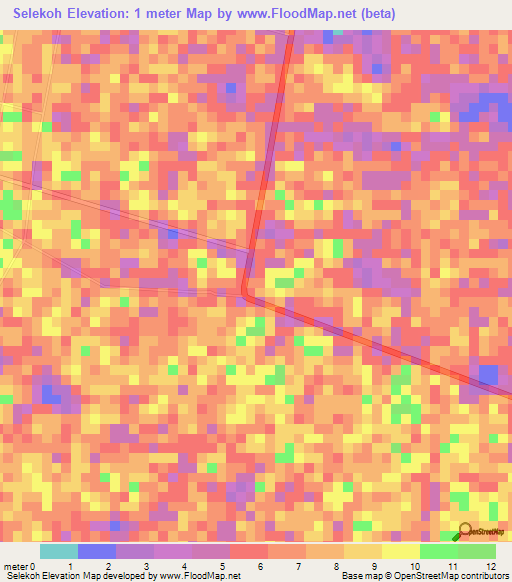 Selekoh,Malaysia Elevation Map