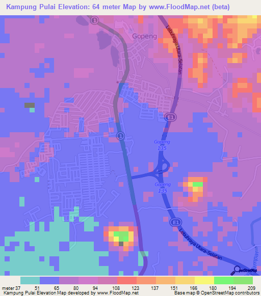 Kampung Pulai,Malaysia Elevation Map