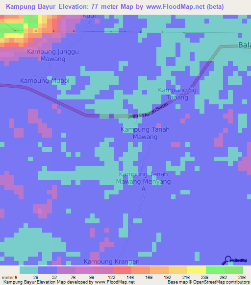 Kampung Bayur,Malaysia Elevation Map