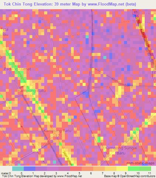 Tok Chin Tong,Malaysia Elevation Map