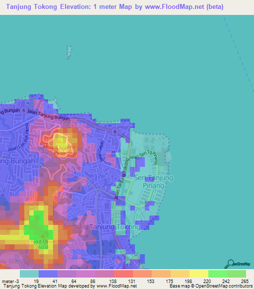 Tanjung Tokong,Malaysia Elevation Map