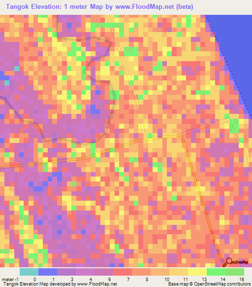 Tangok,Malaysia Elevation Map