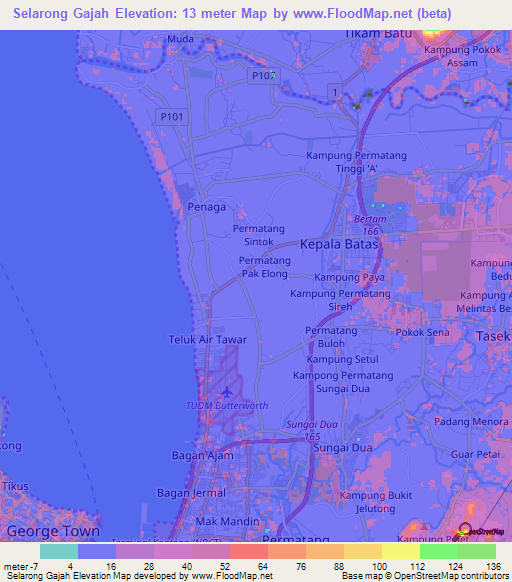 Selarong Gajah,Malaysia Elevation Map