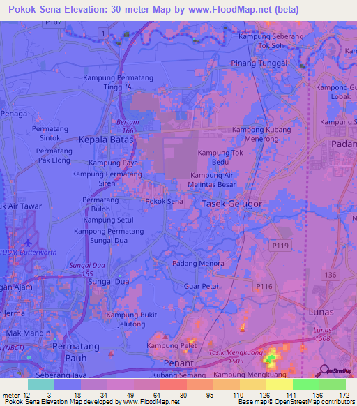 Pokok Sena,Malaysia Elevation Map