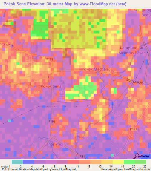 Pokok Sena,Malaysia Elevation Map