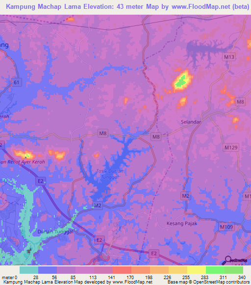Kampung Machap Lama,Malaysia Elevation Map
