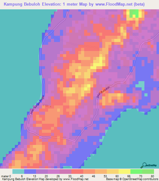 Kampung Bebuloh,Malaysia Elevation Map