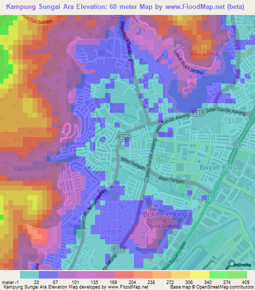 Kampung Sungai Ara,Malaysia Elevation Map