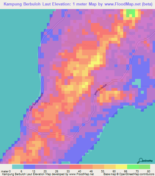 Kampung Berbuloh Laut,Malaysia Elevation Map