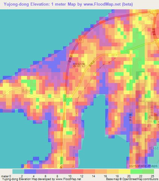 Yujong-dong,South Korea Elevation Map