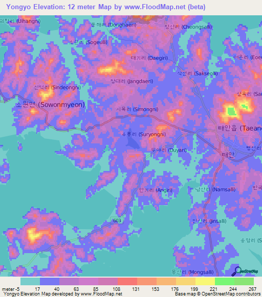 Yongyo,South Korea Elevation Map