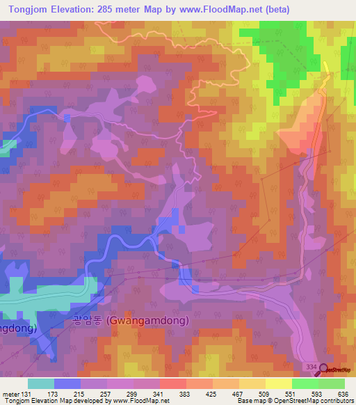 Tongjom,South Korea Elevation Map